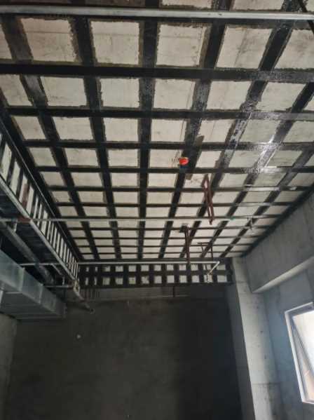 连云港赣榆县碳纤维加固